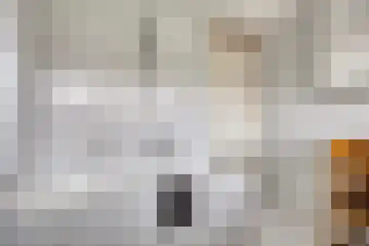 Het Loo 39 Almelo thumbnail 25