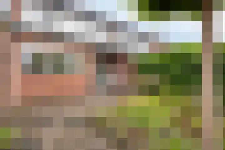 Het Loo 39 Almelo thumbnail 32