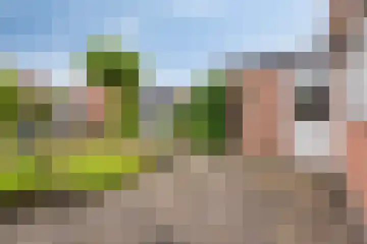 Het Loo 39 Almelo thumbnail 33
