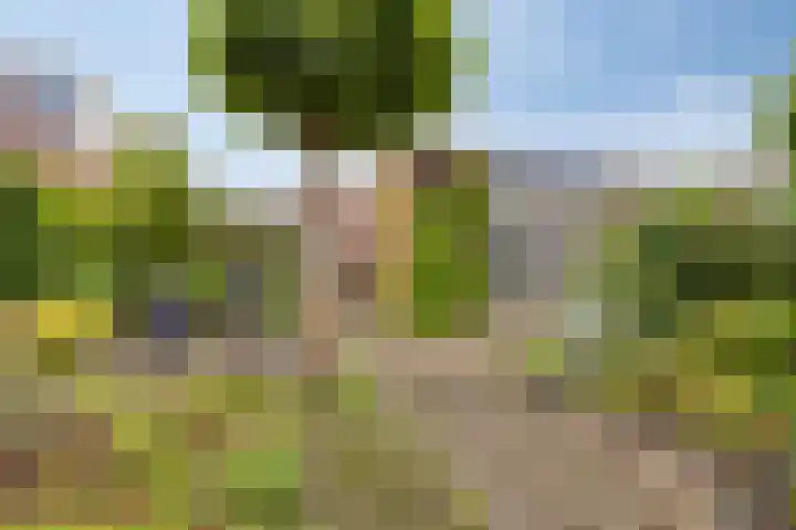 Het Loo 39 Almelo thumbnail 34