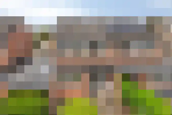 Het Loo 39 Almelo thumbnail 36