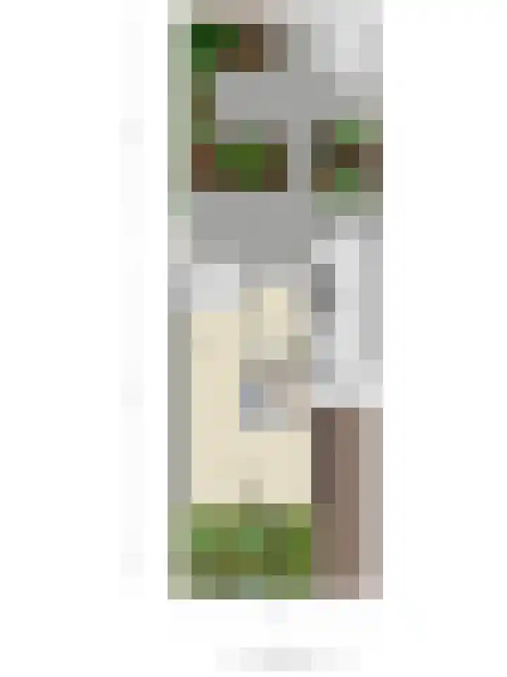 Het Loo 39 Almelo thumbnail 37