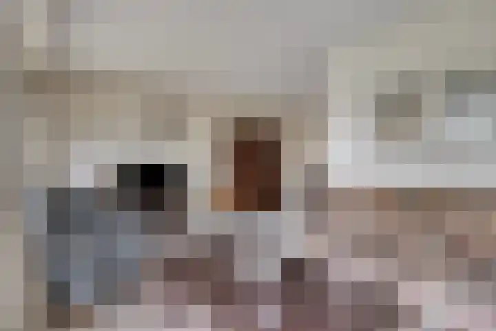Het Loo 39 Almelo thumbnail 7