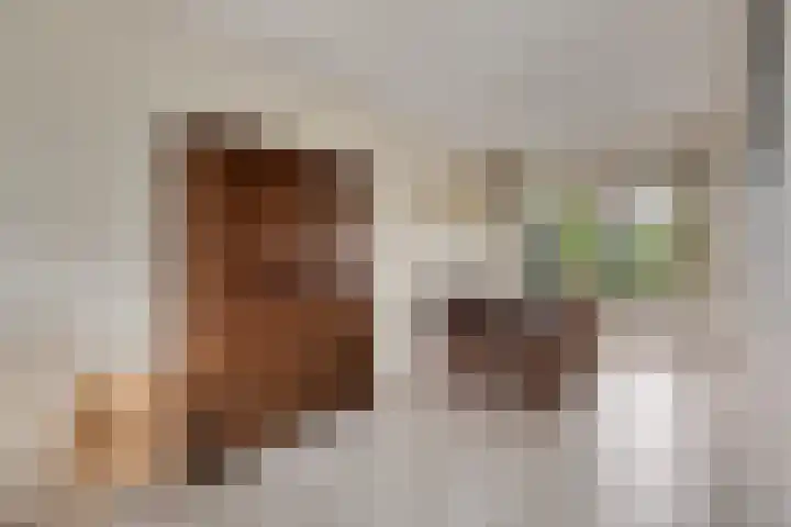 Het Loo 39 Almelo thumbnail 9