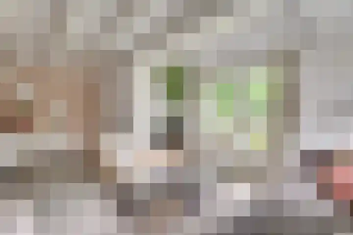 Het Lopertje 13 Hilvarenbeek thumbnail 11