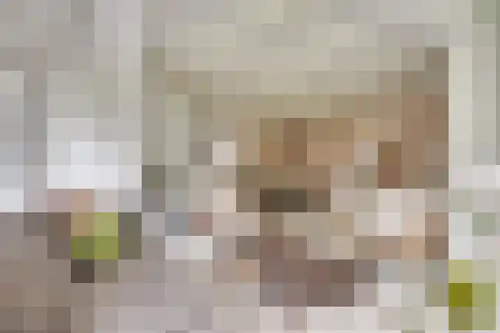 Het Lopertje 13 Hilvarenbeek thumbnail 12