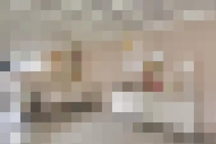 Het Lopertje 13 Hilvarenbeek thumbnail 13
