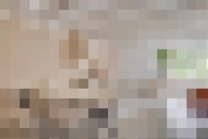 Het Lopertje 13 Hilvarenbeek thumbnail 14