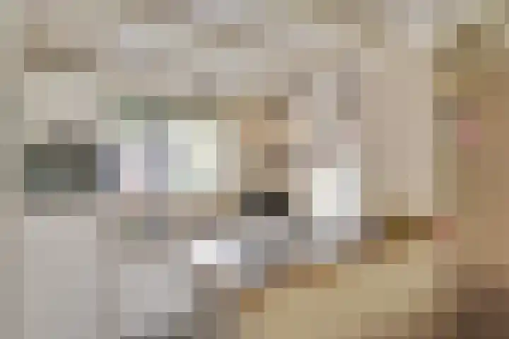 Het Lopertje 13 Hilvarenbeek thumbnail 15