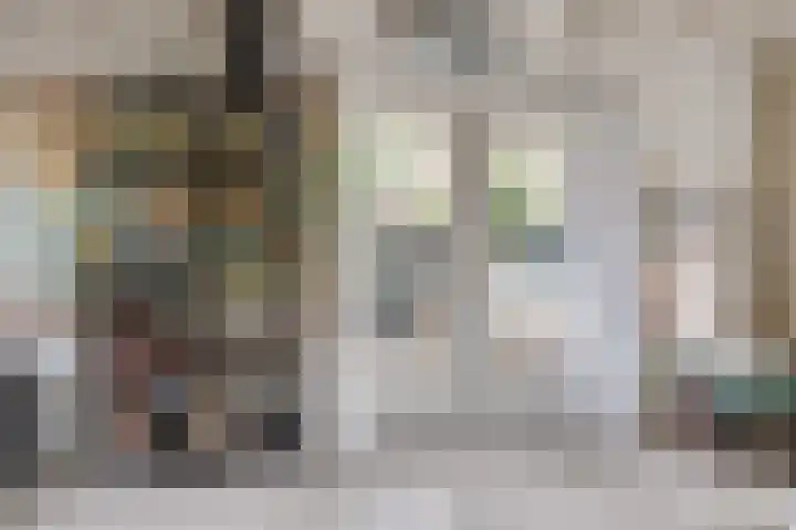Het Lopertje 13 Hilvarenbeek thumbnail 17