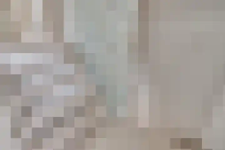 Het Lopertje 13 Hilvarenbeek thumbnail 20