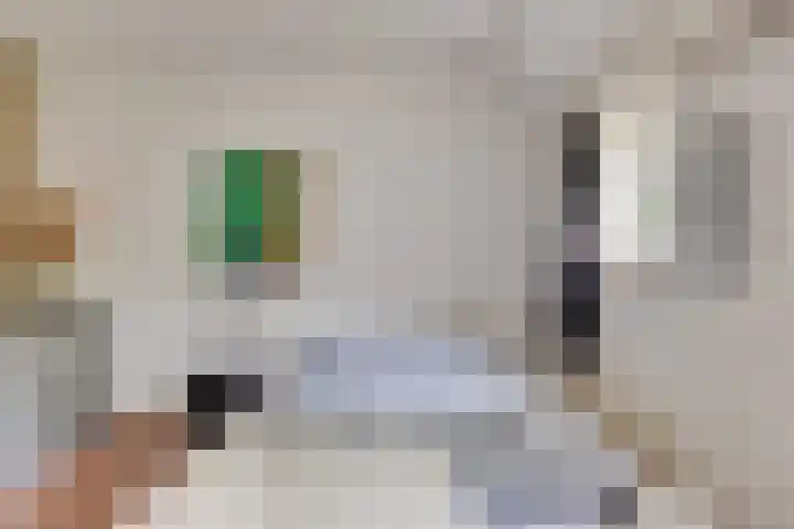 Het Lopertje 13 Hilvarenbeek thumbnail 25