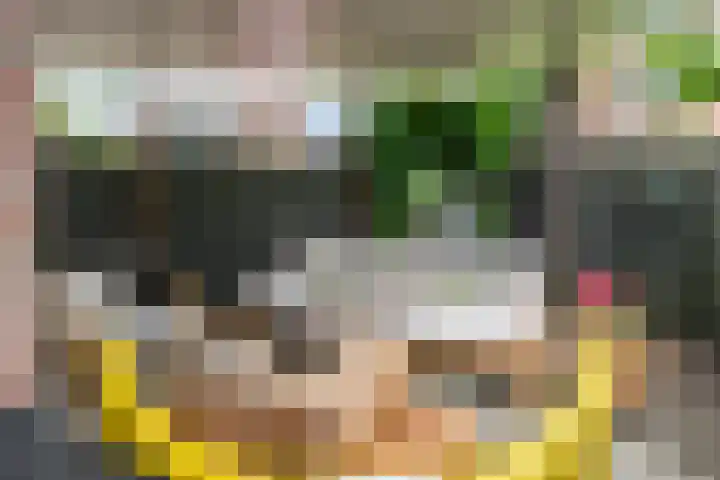 Het Lopertje 13 Hilvarenbeek thumbnail 29