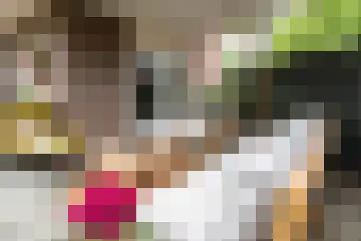 Het Lopertje 13 Hilvarenbeek thumbnail 30