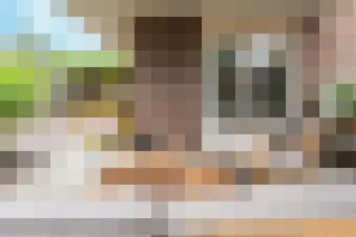 Het Lopertje 13 Hilvarenbeek thumbnail 31