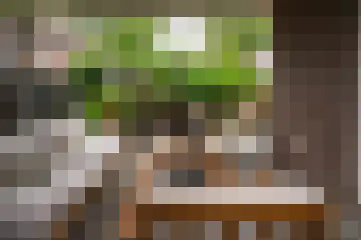 Het Lopertje 13 Hilvarenbeek thumbnail 32