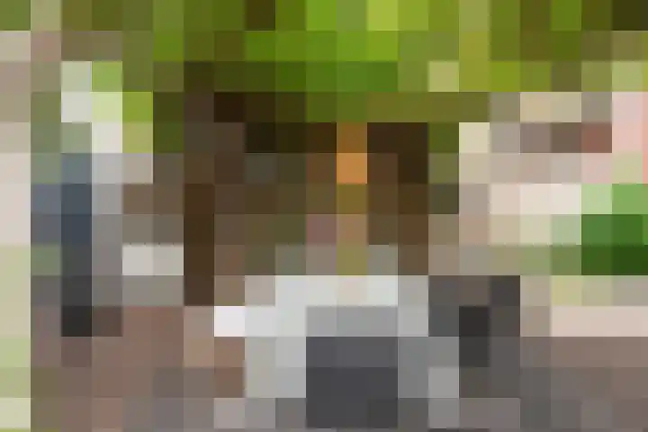 Het Lopertje 13 Hilvarenbeek thumbnail 33