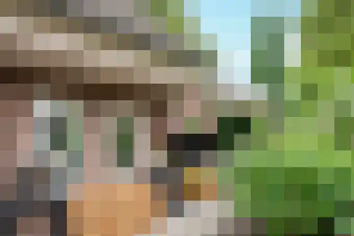 Het Lopertje 13 Hilvarenbeek thumbnail 34