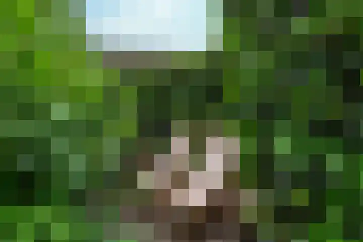 Het Lopertje 13 Hilvarenbeek thumbnail 35