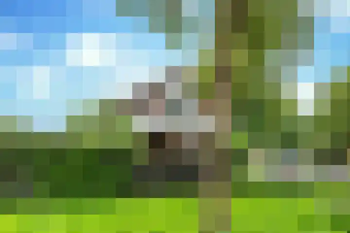 Het Lopertje 13 Hilvarenbeek thumbnail 37