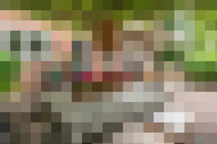 Het Lopertje 13 Hilvarenbeek thumbnail 4