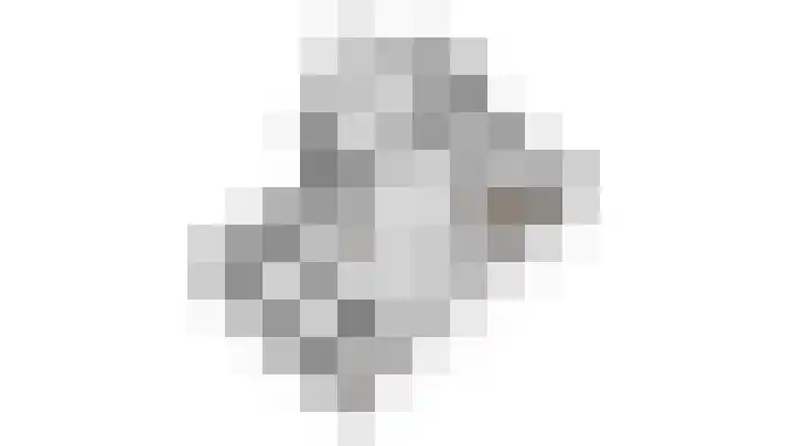 Het Lopertje 13 Hilvarenbeek thumbnail 40