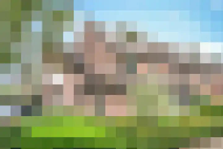Het Lopertje 13 Hilvarenbeek thumbnail 5