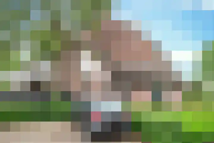 Het Lopertje 13 Hilvarenbeek thumbnail 6