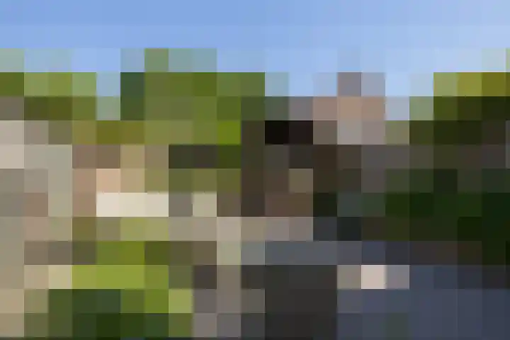 Het Lover 17 Veldhoven thumbnail 20
