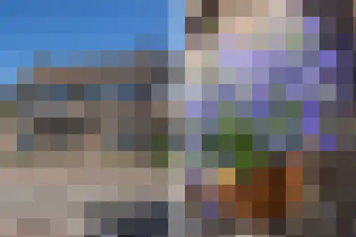 Het Lover 17 Veldhoven thumbnail 39