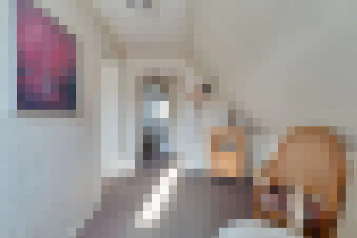 Het Lover 27 Veldhoven thumbnail 10