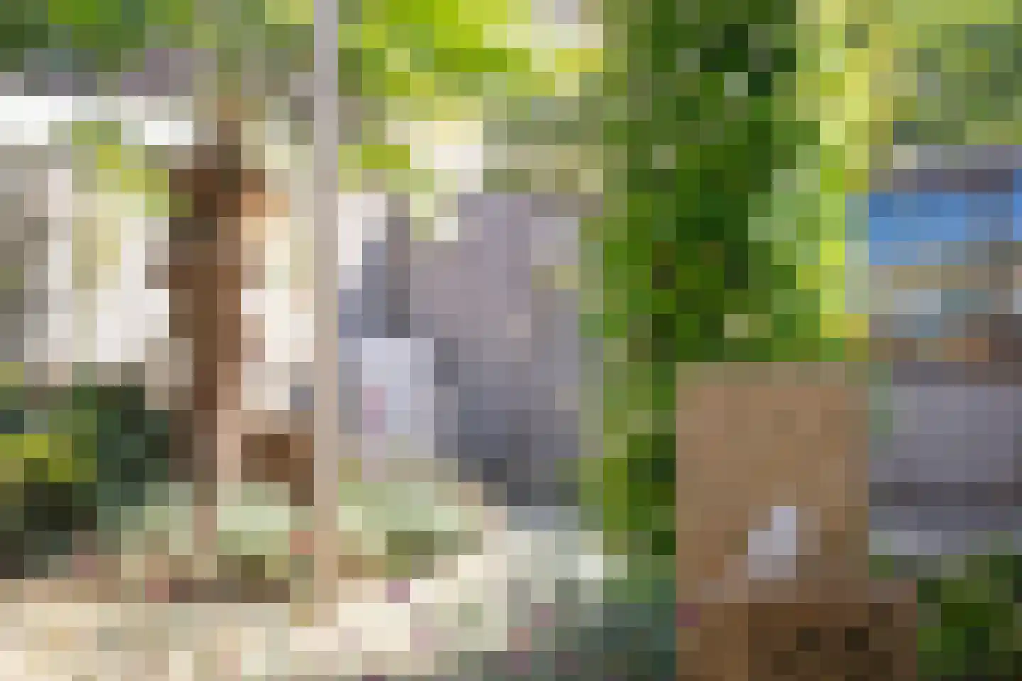 Het Lover 27 Veldhoven thumbnail 34