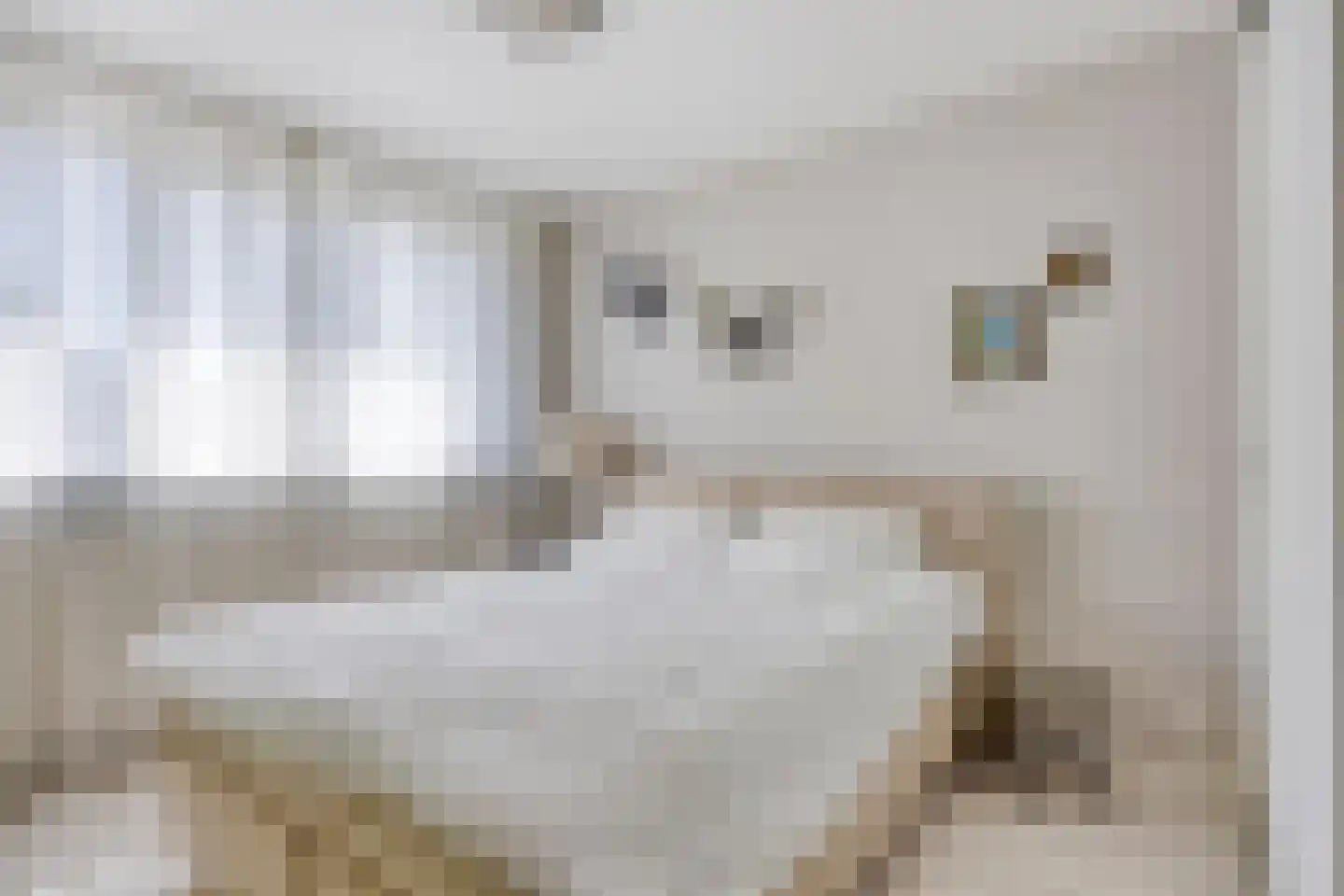 Het Lover 27 Veldhoven thumbnail 4