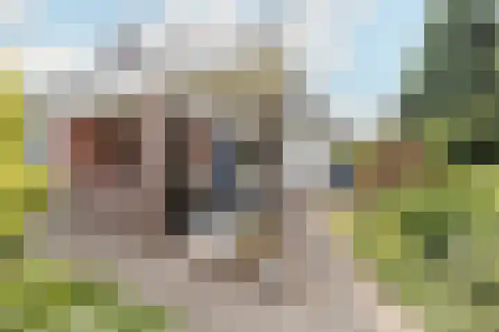 Het Lover 27 Veldhoven thumbnail 5