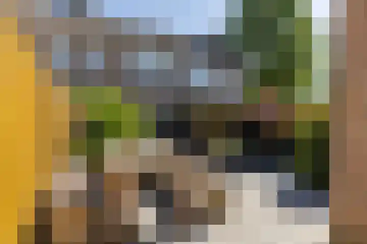 Het Lover 31 Veldhoven thumbnail 35