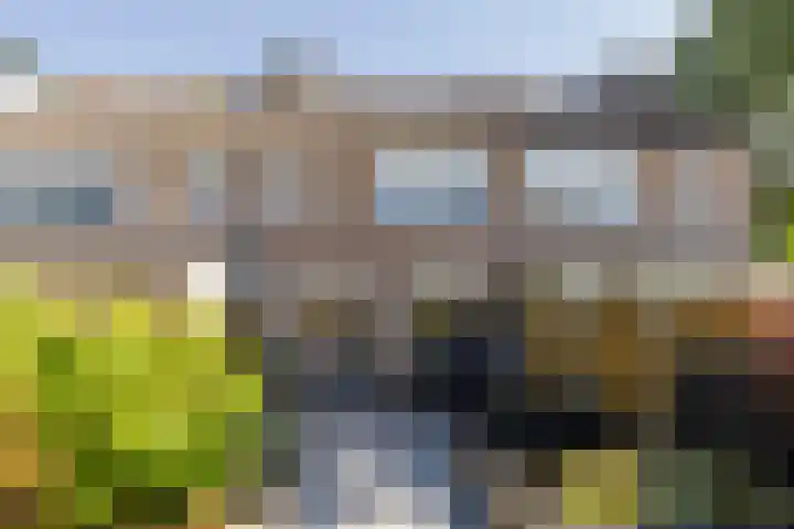 Het Lover 31 Veldhoven thumbnail 36