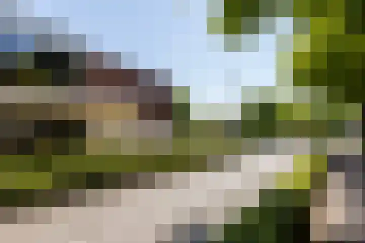 Het Lover 31 Veldhoven thumbnail 41