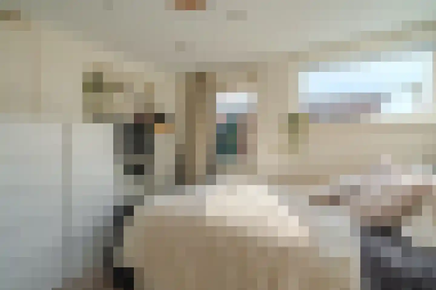 Het Lover 31 Veldhoven thumbnail 9