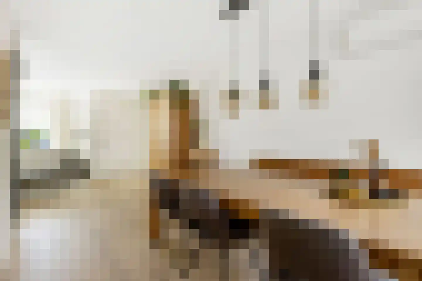 Het Lover 39 Veldhoven thumbnail 8