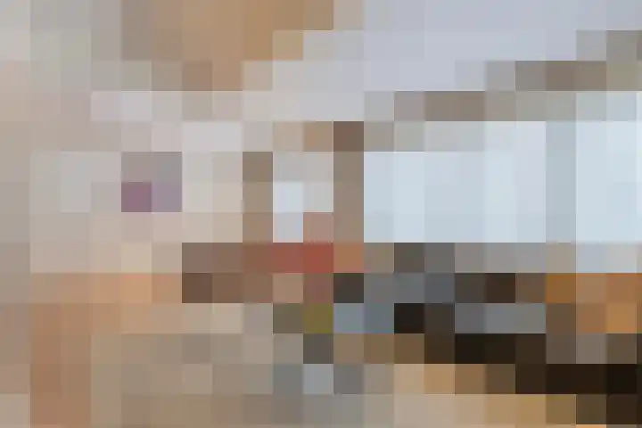 Het Lover 6 Veldhoven thumbnail 13