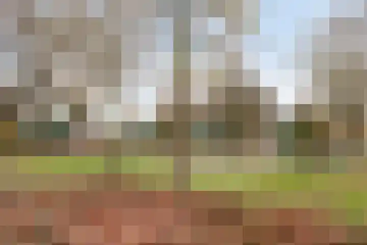 Het Lover 6 Veldhoven thumbnail 44