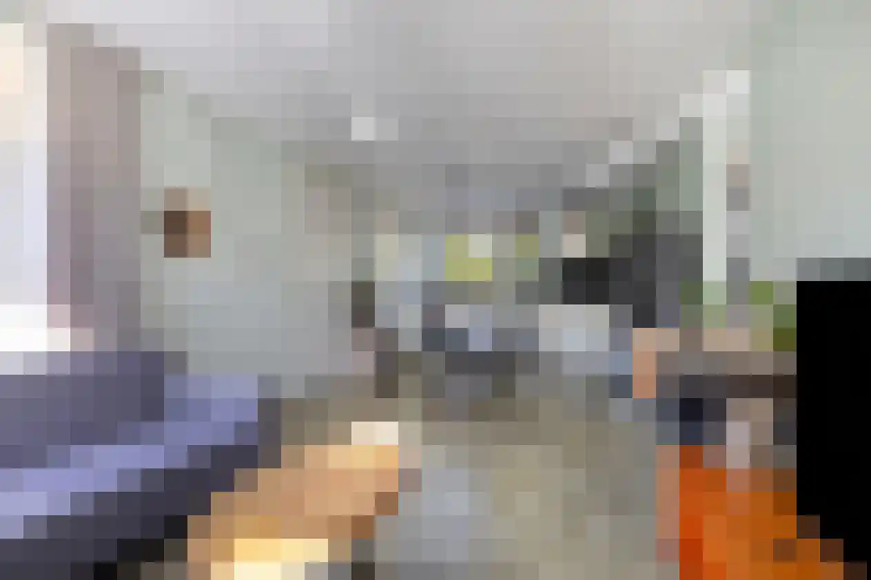 het Luiwerk 1 B Oirschot thumbnail 12