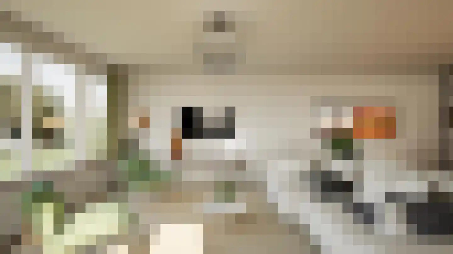 Het Maalwater 3 b Heiloo thumbnail 14