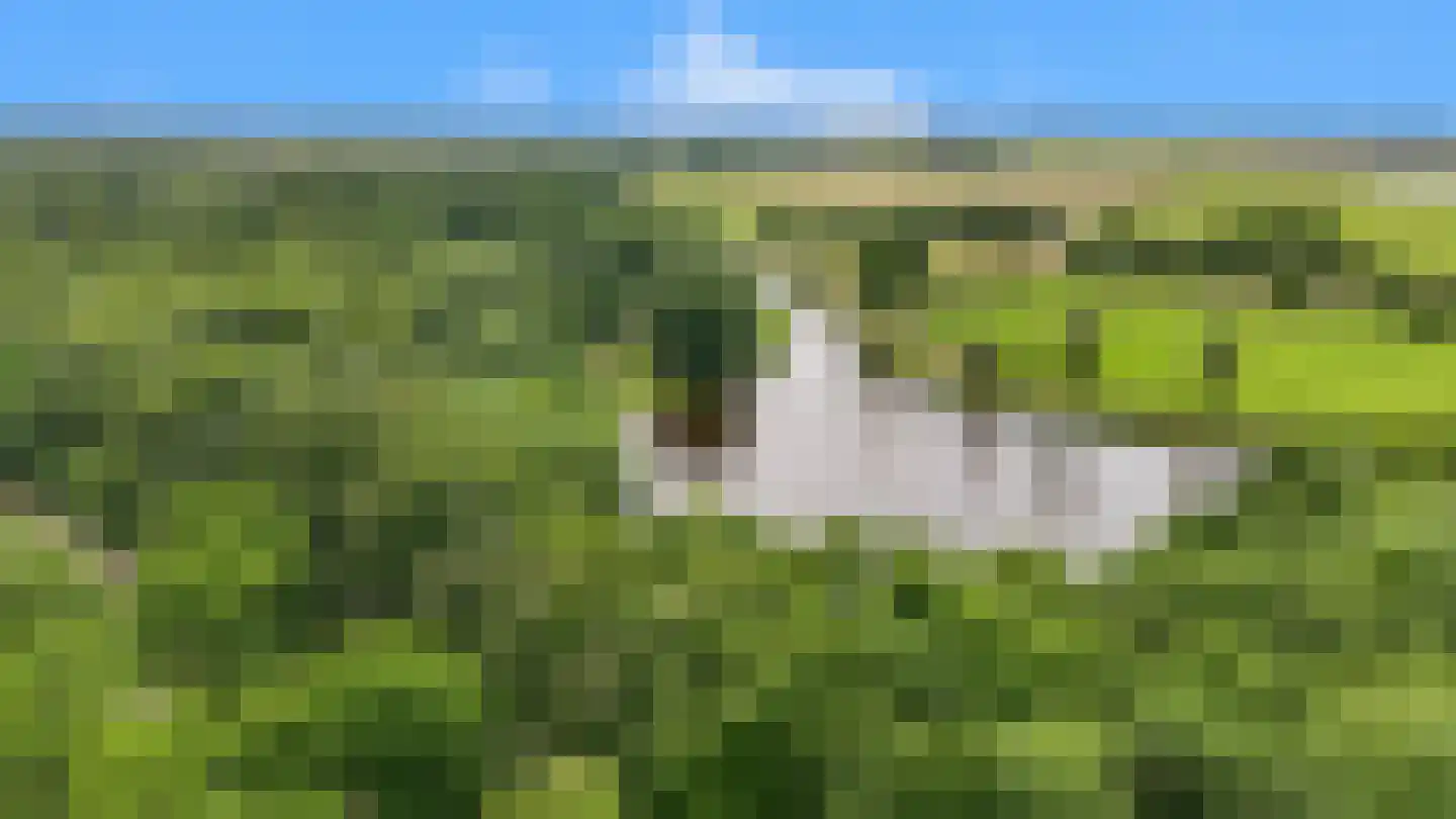 Het Maalwater 3 c Heiloo thumbnail 23