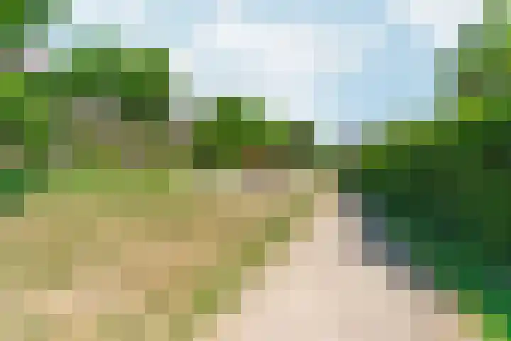 Het Maisveld 86 Arnhem thumbnail 39