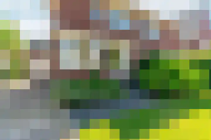 Het Maisveld 86 Arnhem thumbnail 5