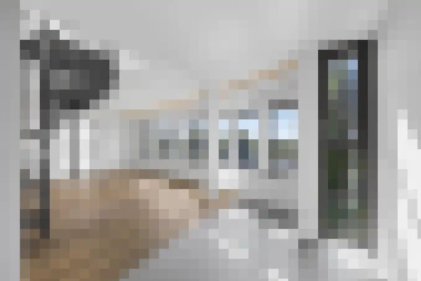 Het Masker 148 Amersfoort thumbnail 17