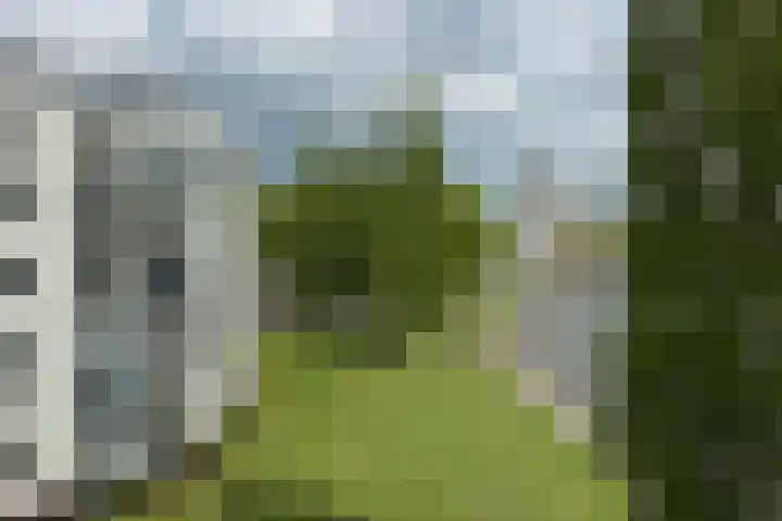 Het Masker 170 Amersfoort thumbnail 22