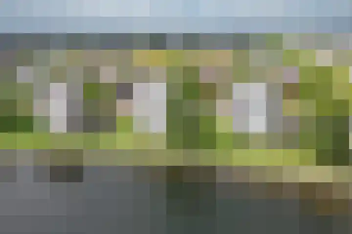 Het Masker 170 Amersfoort thumbnail 31