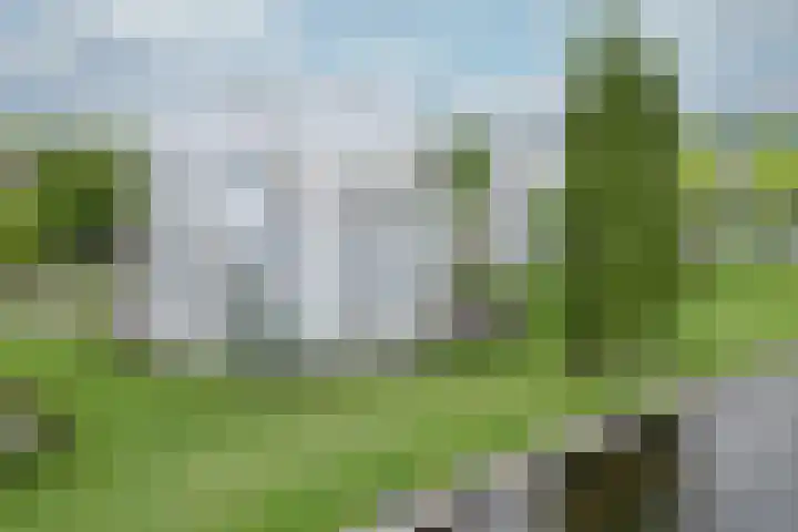 Het Masker 170 Amersfoort thumbnail 33